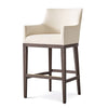 Counter Stool with Arm
