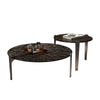 Coffee Table Newman Set of 2
