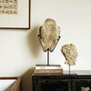 Object Scriptstone