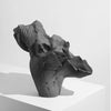 Vases Rustic Drift